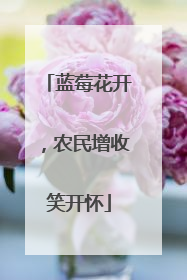 蓝莓花开，农民增收笑开怀