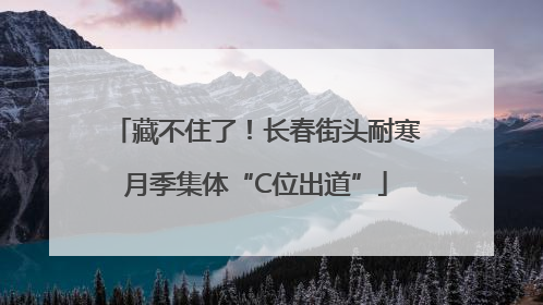 藏不住了！长春街头耐寒月季集体“C位出道”