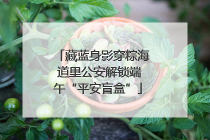 藏蓝身影穿粽海 道里公安解锁端午“平安盲盒”