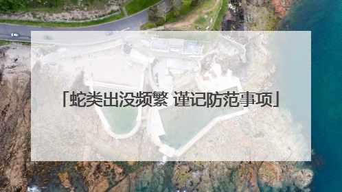 蛇类出没频繁 谨记防范事项