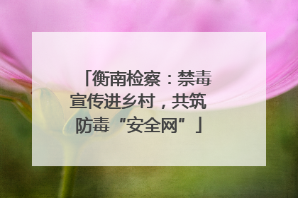 衡南检察：禁毒宣传进乡村，共筑防毒“安全网”