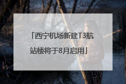 西宁机场新建T3航站楼将于8月启用