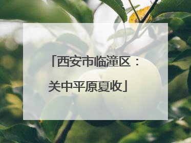西安市临潼区：关中平原夏收