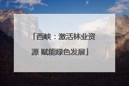 西峡：激活林业资源 赋能绿色发展