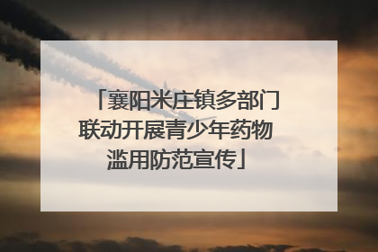 襄阳米庄镇多部门联动开展青少年药物滥用防范宣传