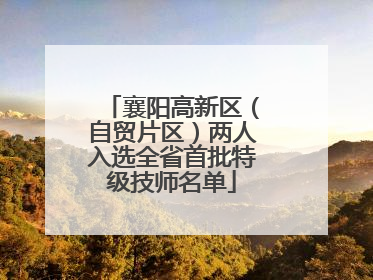 襄阳高新区（自贸片区）两人入选全省首批特级技师名单