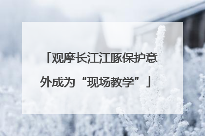 观摩长江江豚保护意外成为“现场教学”