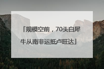 规模空前，70头白犀牛从南非运抵卢旺达