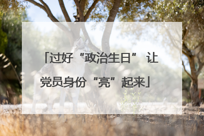 过好“政治生日” 让党员身份“亮”起来