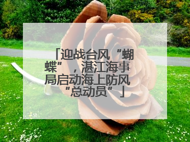 迎战台风“蝴蝶”，湛江海事局启动海上防风“总动员”