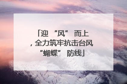 迎 “风” 而上，全力筑牢抗击台风 “蝴蝶” 防线