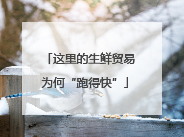 这里的生鲜贸易为何“跑得快”