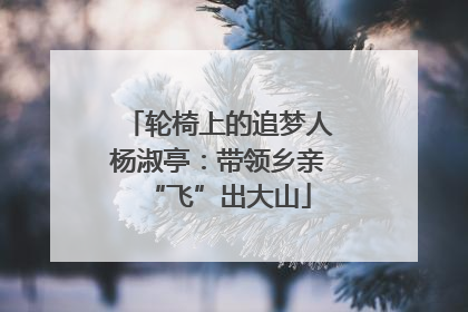 轮椅上的追梦人杨淑亭：带领乡亲“飞”出大山