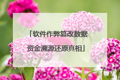 软件作弊篡改数据 资金溯源还原真相