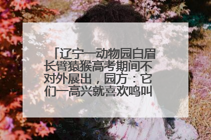 辽宁一动物园白眉长臂猿猴高考期间不对外展出，园方：它们一高兴就喜欢鸣叫，怕影响考试