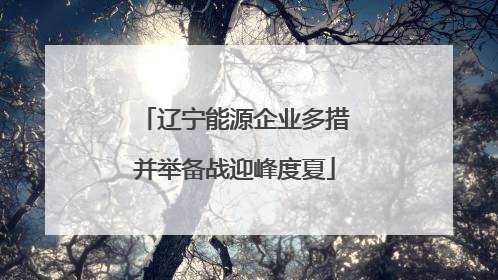 辽宁能源企业多措并举备战迎峰度夏