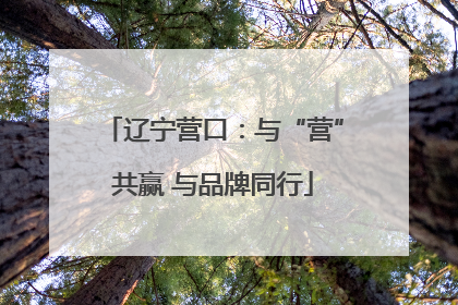 辽宁营口：与“营”共赢 与品牌同行