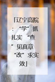 辽宁高院：“学”抓扎实 “查”见真章 “改”求实效