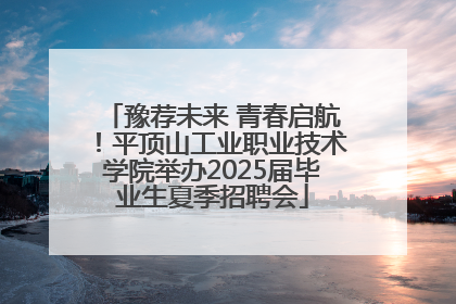 豫荐未来 青春启航！平顶山工业职业技术学院举办2025届毕业生夏季招聘会