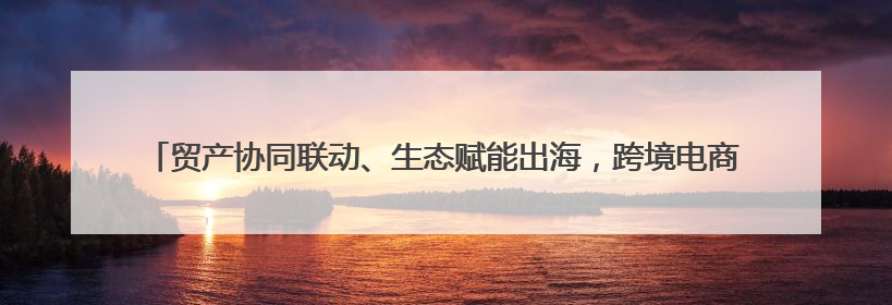 贸产协同联动、生态赋能出海，跨境电商·四川制造源头供需对接活动在成都举办
