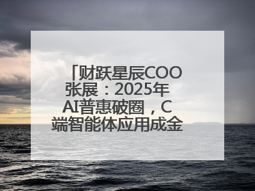 财跃星辰COO张展：2025年AI普惠破圈，C端智能体应用成金融转型关键