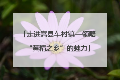 走进嵩县车村镇—领略“黄精之乡”的魅力