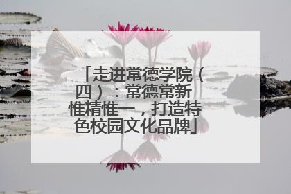 走进常德学院（四）：常德常新 惟精惟一，打造特色校园文化品牌