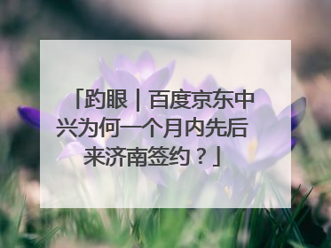 趵眼｜百度京东中兴为何一个月内先后来济南签约？