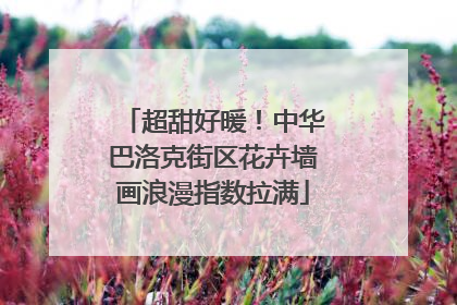 超甜好暖！中华巴洛克街区花卉墙画浪漫指数拉满