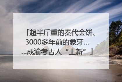 超半斤重的秦代金饼、3000多年前的象牙……成渝考古人“上新”