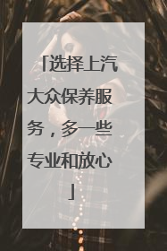 选择上汽大众保养服务，多一些专业和放心