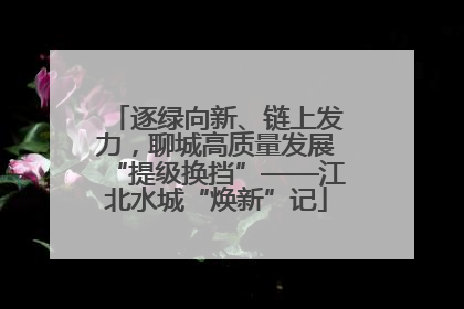 逐绿向新、链上发力，聊城高质量发展“提级换挡”——江北水城“焕新”记