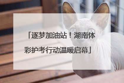 逐梦加油站！湖南体彩护考行动温暖启幕
