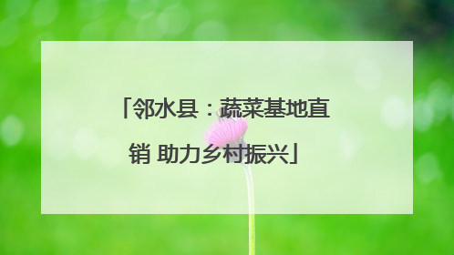 邻水县：蔬菜基地直销 助力乡村振兴