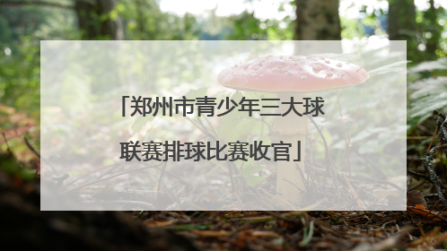 郑州市青少年三大球联赛排球比赛收官