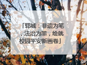 郓城：非遗为笔，法治为墨，绘就校园平安新画卷