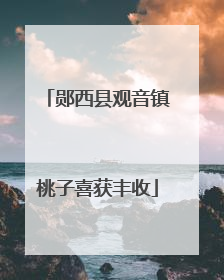 郧西县观音镇桃子喜获丰收