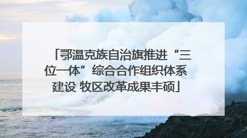 鄂温克族自治旗推进“三位一体”综合合作组织体系建设 牧区改革成果丰硕