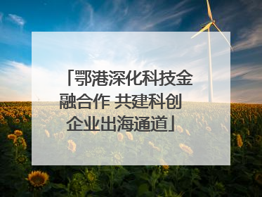 鄂港深化科技金融合作 共建科创企业出海通道