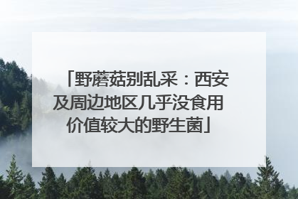 野蘑菇别乱采：西安及周边地区几乎没食用价值较大的野生菌