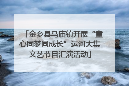 金乡县马庙镇开展“童心同梦同成长”运河大集文艺节目汇演活动
