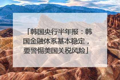 韩国央行半年报：韩国金融体系基本稳定，要警惕美国关税风险