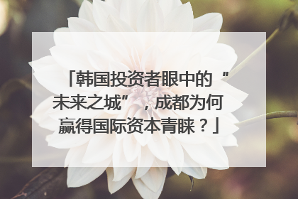 韩国投资者眼中的“未来之城”，成都为何赢得国际资本青睐？