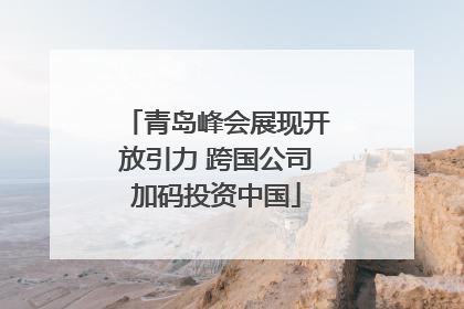 青岛峰会展现开放引力 跨国公司加码投资中国
