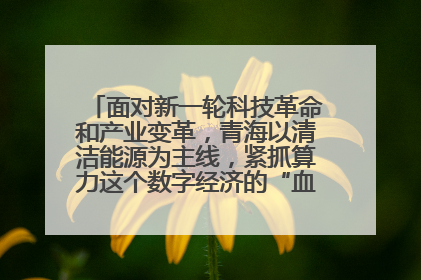 面对新一轮科技革命和产业变革，青海以清洁能源为主线，紧抓算力这个数字经济的“血液”、科技主权的“筹码”、产业升级的“杠杆”、绿色转型的“支点”，勇于撬动国家“双碳”战略、“东数西算”工程重大发展新机遇