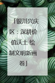 银川兴庆区：深耕价值沃土 绘制文明新画卷