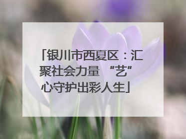 银川市西夏区：汇聚社会力量 “艺”心守护出彩人生