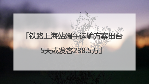 铁路上海站端午运输方案出台 5天或发客238.5万