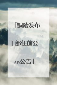 铜陵发布干部任前公示公告