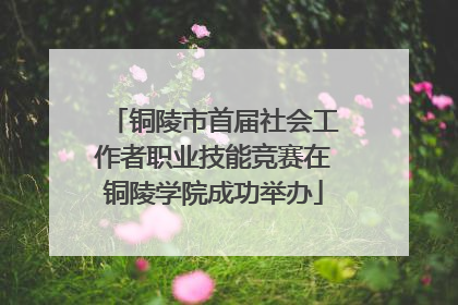 铜陵市首届社会工作者职业技能竞赛在铜陵学院成功举办